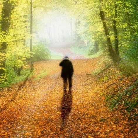person walking in the woods trees with green leaves, on a wide path with yellow and brown leaves, beginning of fall, white light in distance on the path, but still woods, shadow of the person is long,