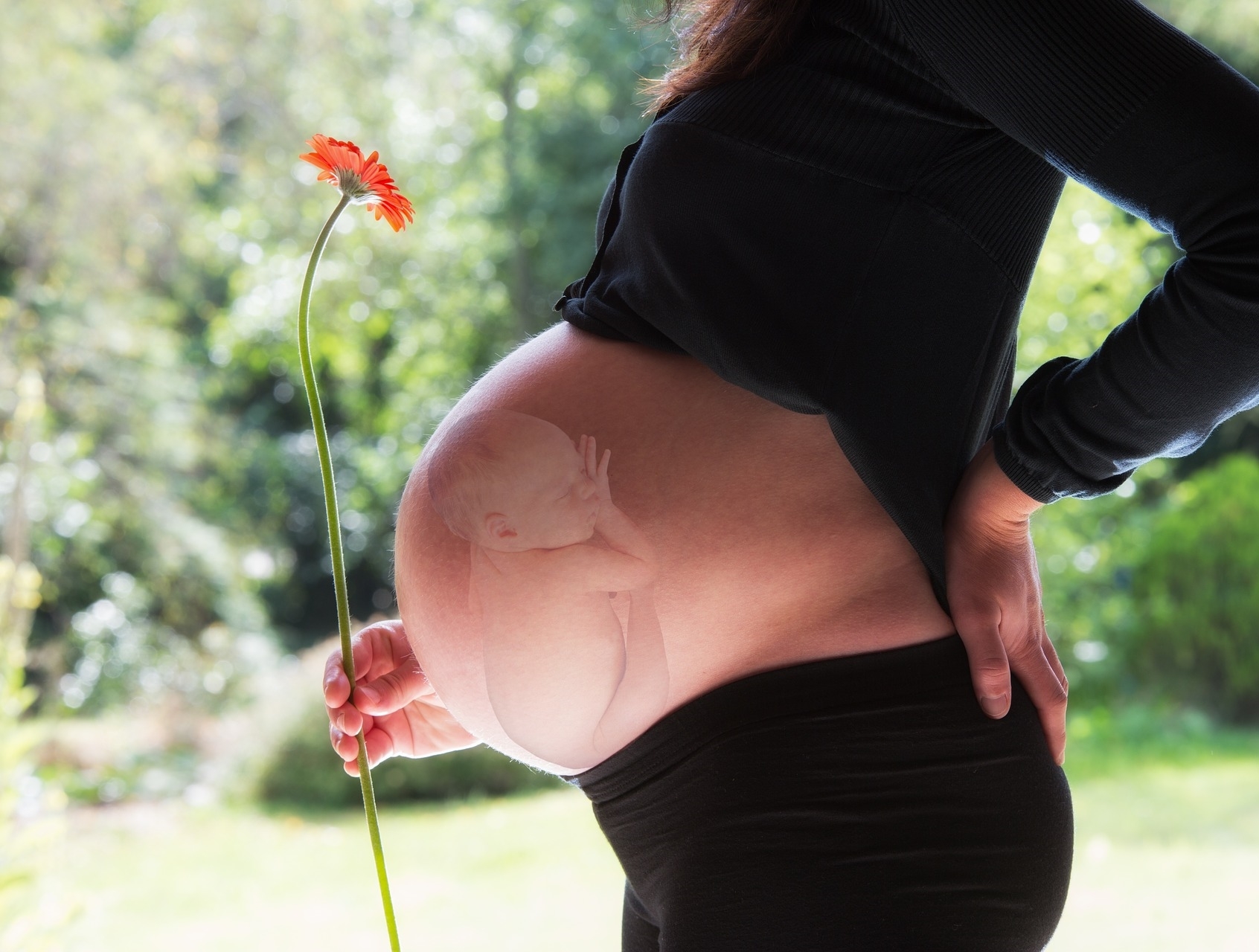 side view pregnant mother, black pants and top but womb area exposed, image of baby in womb area woman holding a flower
